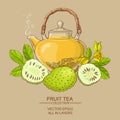 Soursop tea vector illstraton