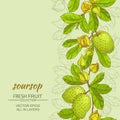 Soursop vector background