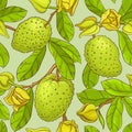 Soursop vector pattern