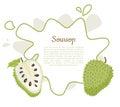 Soursop Whole and Cut Fruit in Abstract Frame Text