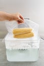 Sous vide cooking of corncobs Royalty Free Stock Photo