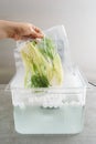 Sous vide cooking of fennel Royalty Free Stock Photo