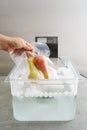 Sous vide cooking of pears Royalty Free Stock Photo