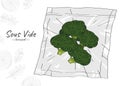 Sous-Vide sketch illustration of broccol