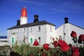 Souter Lighthouse and Poppies Royalty Free Stock Photo