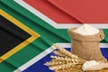 South Africa grain crisis, Concept global hunger crisis,  On background Flag South Africa wheat grain. Concept of growing wheat in Royalty Free Stock Photo