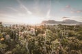 Sunset with fynbos and mountain