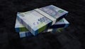 South Africa Rand money banknotes pack illustration