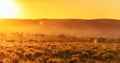 South Africa sunset Royalty Free Stock Photo