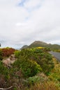 South Africa, Western Cape, Cape Peninsula, Cape of Good Hope, to the lighthouse, Cape Point Royalty Free Stock Photo