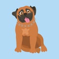 South African Boerboel. Vector illustration