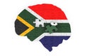 South African flag painted on the brain from puzzles. Scientific research and education in South Africa concept, 3D rendering