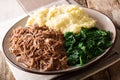 South African food: - Seswaa shredded beef with sadza porridge a