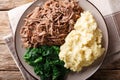 South African food: - Seswaa shredded beef with sadza porridge a