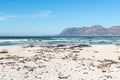 Surfing by Muizenberg Beach, South Africa Royalty Free Stock Photo