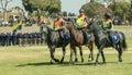 South African Police Service Mounted Unit Royalty Free Stock Photo