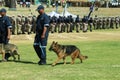 South African Police Services, SAPs, K9 Unit Parade with officers