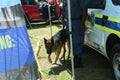 South African Police vehicle, officer and k9