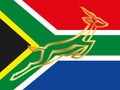 South African rugby symbol on the national flag
