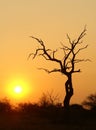 South African sunset