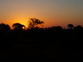 South African Sunset