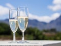 South African white sparkling wine in a garden Royalty Free Stock Photo