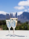 South African white sparkling wine in a garden Royalty Free Stock Photo