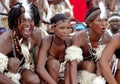 South African Zulu dancers Royalty Free Stock Photo