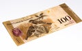 South America currancy banknote