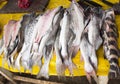 South America, Fried fish on the market in the Iquitos major city in Amazonia.