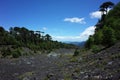 South America nature landscape, Dark canyon after post-eruptive lahar on mountainside through araucaria araucana forest of Villarr