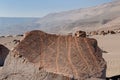 South America, Peru, Toro Muerto Petroglyphs