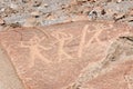 South America, Peru, Toro Muerto Petroglyphs