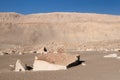 South America, Peru, Toro Muerto Petroglyphs