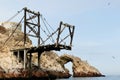 South America, Peru, wildlife on Islas Ballestas Royalty Free Stock Photo