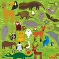 South America seamless pattern sloth anteater toucan lama fur seal armadillo boa manatee dolphin Maned wolf raccoon jaguar macaw