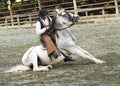 South American Cowboy in Andalusian Horse