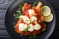 South American food: Milanesa napolitana Beef cutlet in breadcrumbs with mozzarella cheese and tomato sauce close-up. Horizontal Royalty Free Stock Photo