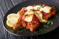 South American food: Milanesa napolitana Beef cutlet in breadcrumbs with mozzarella cheese and tomato sauce close-up. horizontal Royalty Free Stock Photo