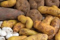 South American Potatoes Royalty Free Stock Photo