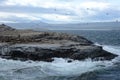 South American sea lion, Otaria flavescens, breeding colony and haulout on small islets just outside Ushuaia.