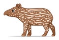 South American tapir animal standing on a white background