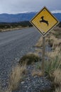 South Andean deer Hippocamelus bisulcus crossing signal.