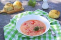 South borsch without beetroot, hot soup with tomatoes, cabbage and sweet red pepper. Served with unsweetened wheat buns with Royalty Free Stock Photo