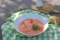 South borsch without beetroot, hot soup with tomatoes, cabbage and sweet red pepper. Served with unsweetened wheat buns with Royalty Free Stock Photo