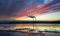 The South bridge at night, Kiev, Ukraine. Bridge at sunset across the Dnieper River. Royalty Free Stock Photo