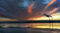 The South bridge at night, Kiev, Ukraine.Sunset on the Dnieper Royalty Free Stock Photo