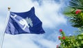 South Carolina State Flag with sky background and palm with red flowers