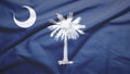 South Carolina state of United States flag Royalty Free Stock Photo