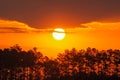 South Carolina Sunset Trees Lake Hartwell Royalty Free Stock Photo